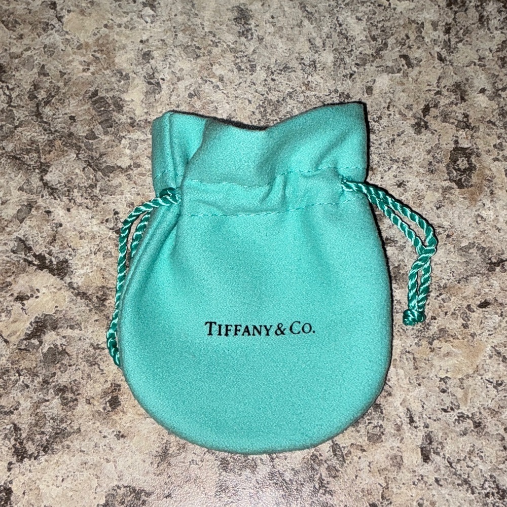 Tiffany & Co. Turquoise Jewelry Pouch